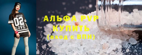 PSILOCYBIN Белокуриха
