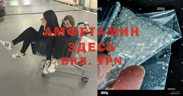 PSILOCYBIN Белокуриха