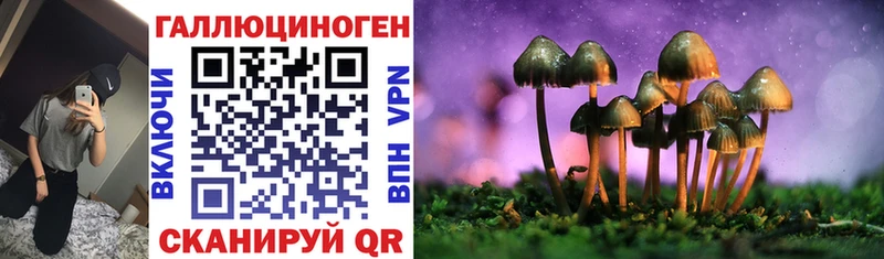 Псилоцибиновые грибы Psilocybine cubensis  сайты даркнета формула  Хвалынск 