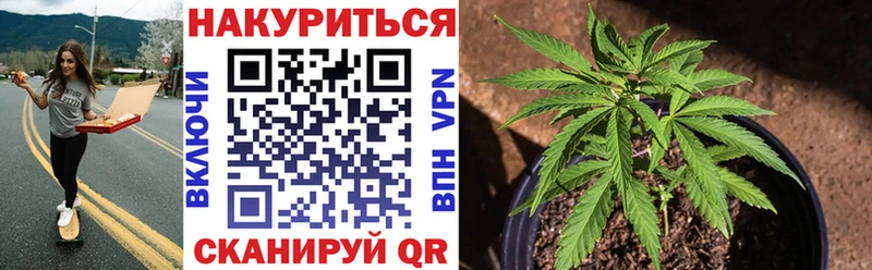 Бошки марихуана конопля где купить Хвалынск